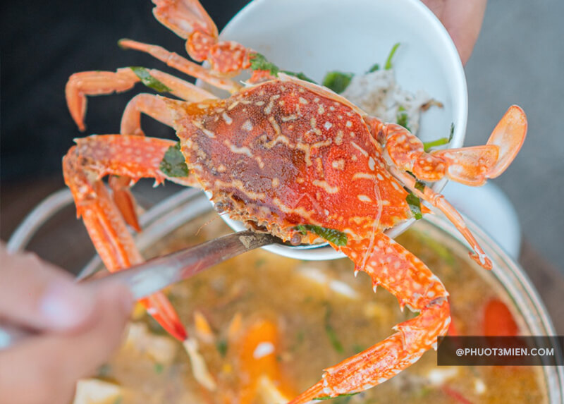 Fresh seafood – Hai san tuoi song