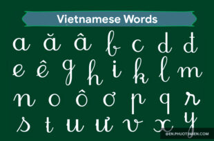Vietnamese Words
