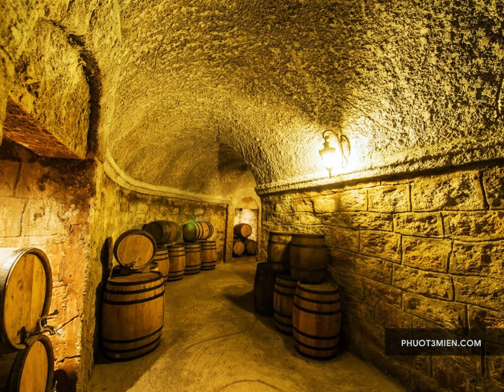 Debay Wine Cellar